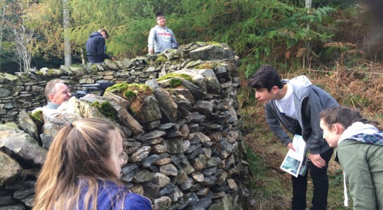Making a film about Andy Goldsworthy's sculpture 'Taking a wall for a walk' in Grizedale Forest